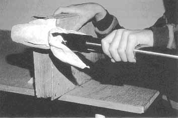 Abb.37