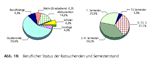 Grafik Beruflicher Status und Semesterstand