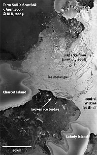 Ein ehemals 15 Kilometer breiter Steg des antarktischen Wilkins-Schelfeises, der stabilisierend auf das Schelfeis wirkte, ist gebrochen.