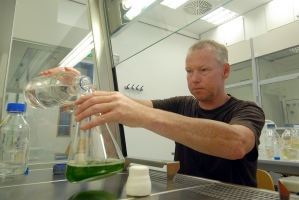 Prof. Dr. Michael Hippler mit seinen Forschungsobjekten - grnen einzelligen Algen - im Glaskolben.