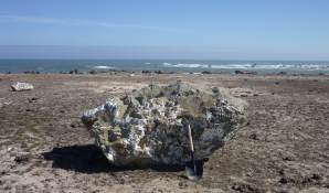 Dieser Gesteinsblock wurde vom Tsunami auf die Kste transportiert.