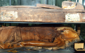 Mnsters einzige Mumie kann leider nicht gezeigt werden, da sie dringend restauriert werden msste.