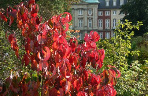 Im Herbst zeigt sich der Botanische Garten von seiner farbenprchtigsten Seite.
