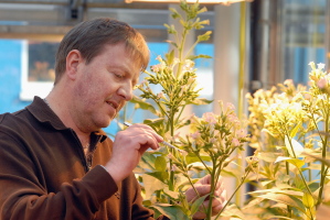 Prof. Dr. Jrg Kudla untersucht den Einfluss von Genen auf die Stressreaktion von Pflanzen.