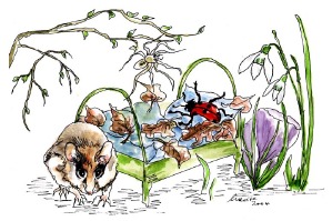 Ein Bild der Knstlerin Marise Kappel. Am 4. Mrz entdeckt sie mit interessierten Kindern den Frhling im Botanischen Garten.