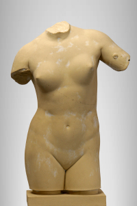 Torso einer Liebesgttin fr die Abgusssammlung antiker Skulpturen
