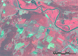 Landsat Image 250px