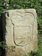 Grenzerfahrungen News