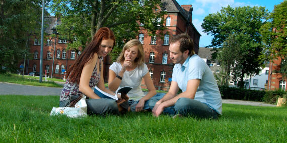 Foto einer Gruppe Studierender, auf dem Rasen sitzend