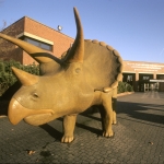 Naturkundemuseum 150