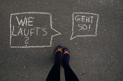 Studienberatung 250px