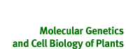 Molecular Genetics and Cellbiology of Plants