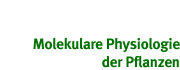 Molekulare Physiologie der Pflanzen Molekulare Physiologie der Pflanzen