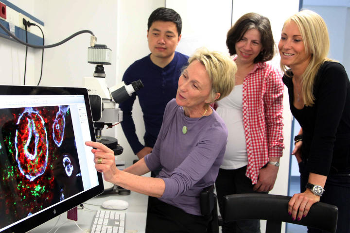 The nervous disease ‘multiple sclerosis’ occurs in repeated attacks of the brain. Professor Lydia Sorokin (front) and her team aim to visualise these attacks on the basis of a new tracer substance.