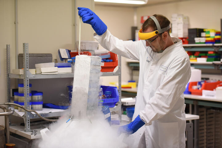 Neuroimmunologist Dr. Nicholas Schwab in the “cold room” – a biobank that stores isolated cells from thousands of blood samples at minus 187°C.
