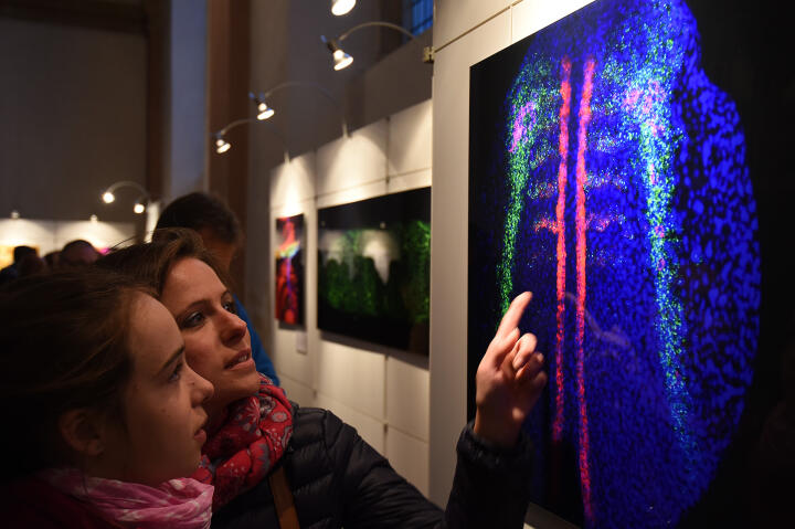 In 2015, the exhibition “Inner Worlds” was presented in the Dominikaner Church in the city centre of Münster and attracted more than 13,000 visitors in less than four weeks.