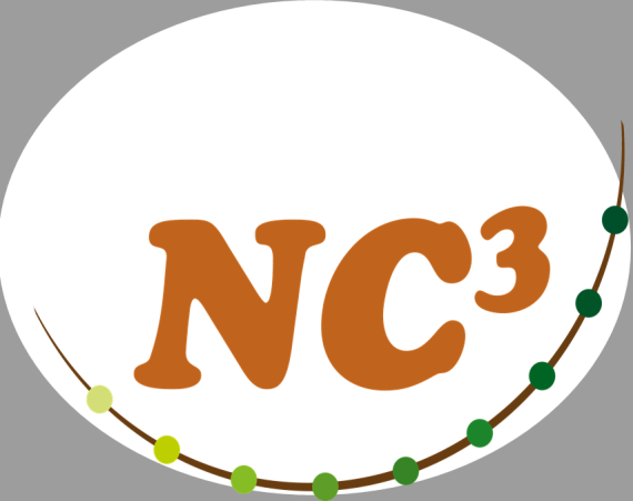 Nc3 Logo Grau