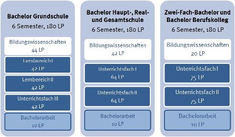 Grafik Studium Bildungswissenschaften