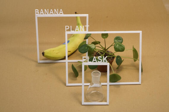 Maxgruber-banana _plant _ Flask-1080x720