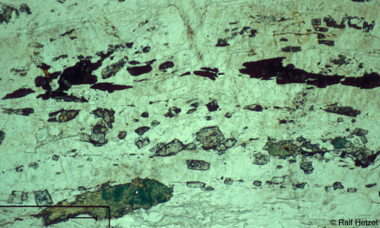 Lawsonite mylonite, Maksyutov Complex, Southern Urals, Russia