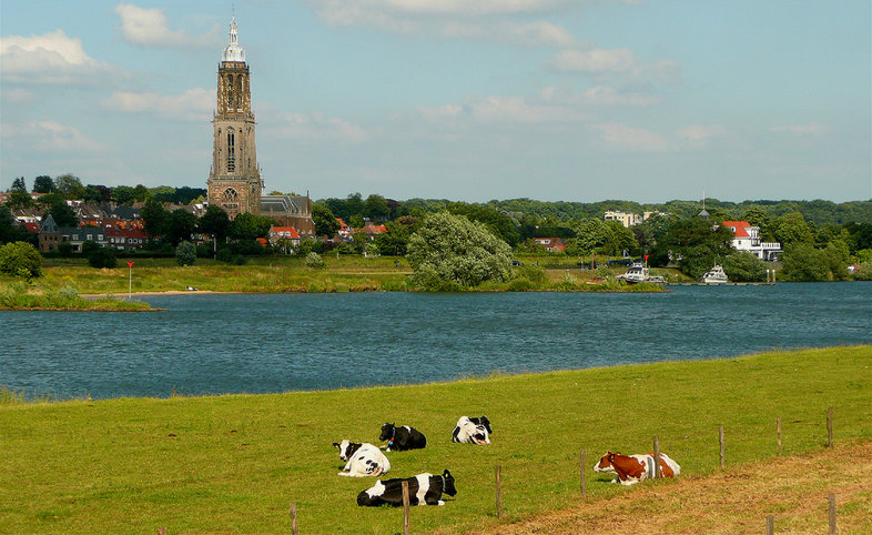 29 Rhenen