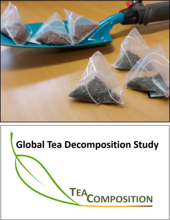 Top: Tea bags on a shovel; Bottom: Logo of the project "TeaComposition"