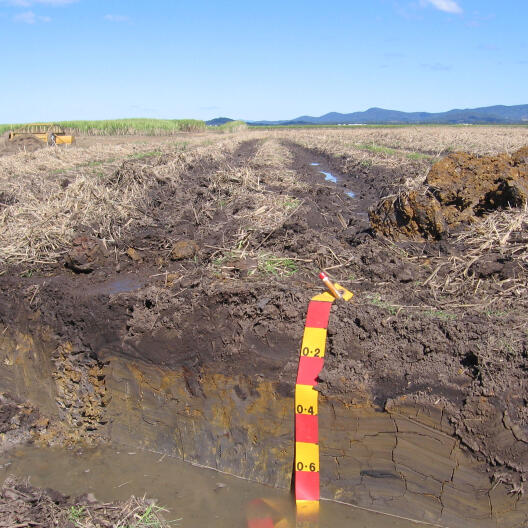 Soil profile of an Australian acid sulfate soil.