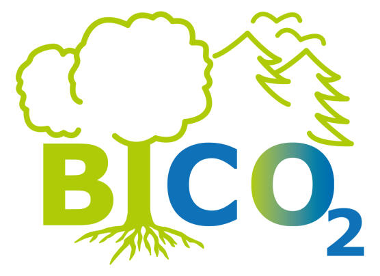 Logo BICO2