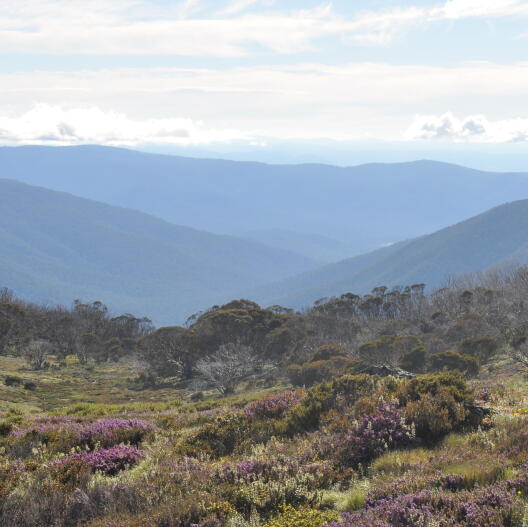 Landscapes of the Australian Alps