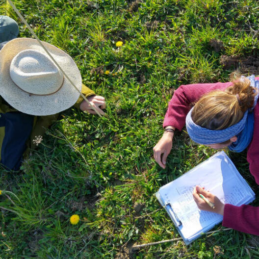Two people determine the vegetation of a meadow