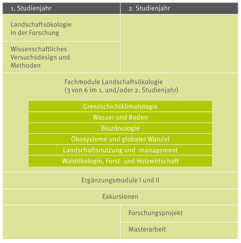 Schematischer Verlaufsplan MSc Landschaftsökologie
