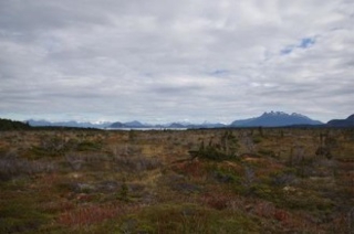 Moor in Patagonien