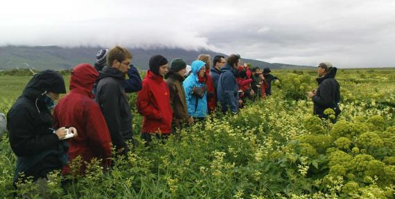 Studierende und Dr. Andreas Vogel während einer Exkursion auf Island