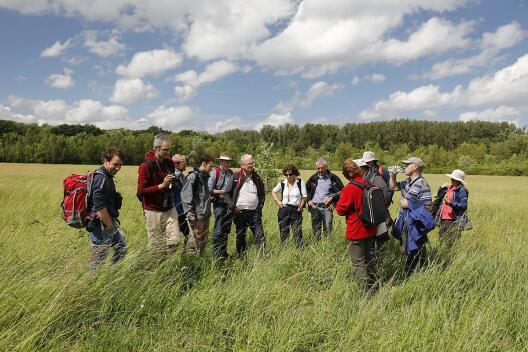 Field trip group in the meadows, Kühkopf-Knoblochsaue, June 2017