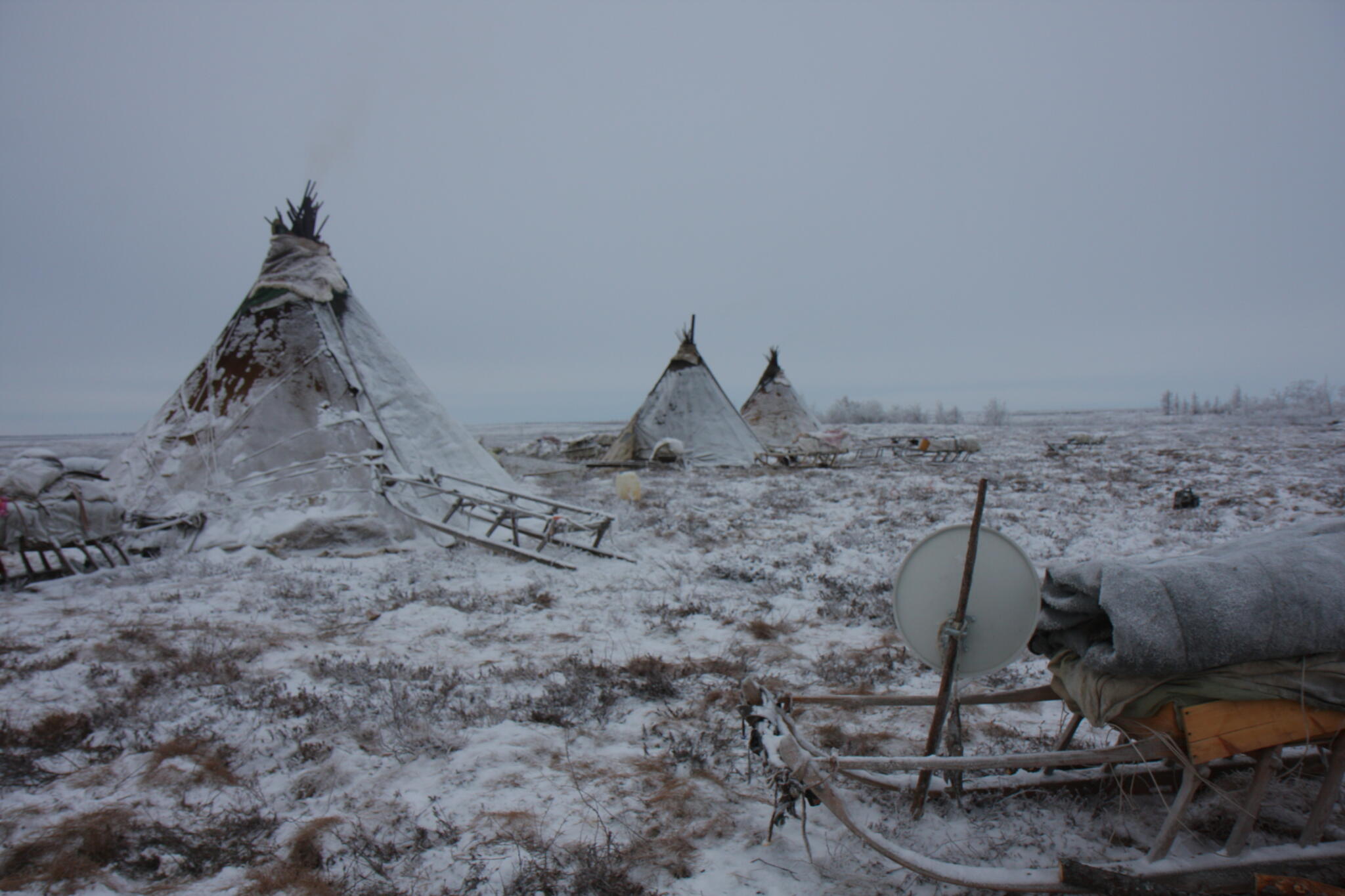 AG Biodiversität und Ökosystemforschung Willkommen