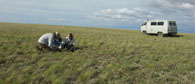 Bei der Feldarbeit in der kasachischen Steppe 