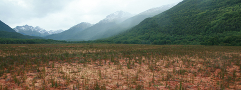 In Tierra del Fuego, glacial valleys are often filled by extensive mires. (photo: Till Kleinebecker)