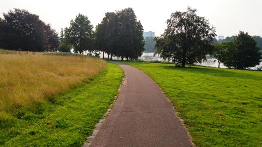Near-natural management (left side) and multi-cut lawns (right) in urban grasslands at the lake Aasee in Münster.
