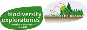 Logo Biodiversitäts Exploratorien
