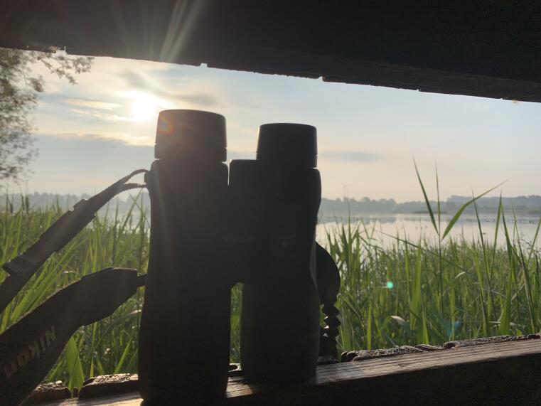 A picture of binoculars