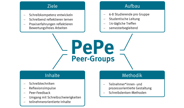 Grafik des Peer-Learning-Programms
