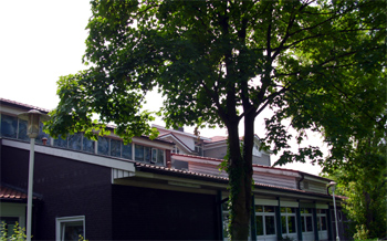 Institut1