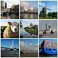 Collage Fotogalerie 2008