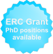 Apply for a PhD position!