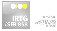 Logo Claim IRTG SFB858 English