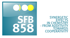 Logo Claim SFB 858 English