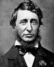 Portraitaufnahme von Henry David Thoreau