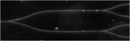 Waveguide Powersplitter