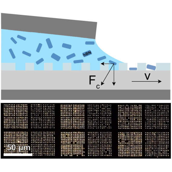 Large arrays of hBN nanocrystalls by capillary assembly