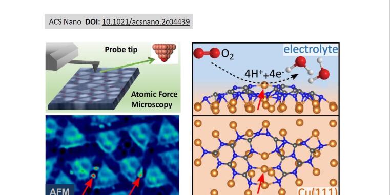 Combining atomic-scale AFM characterization with a direct electrochemical proof of performance, flexibly suspended single Cu atoms were identified as catalytically active sites in an ORR reaction.